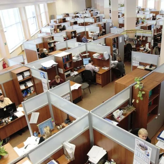 offices-employees