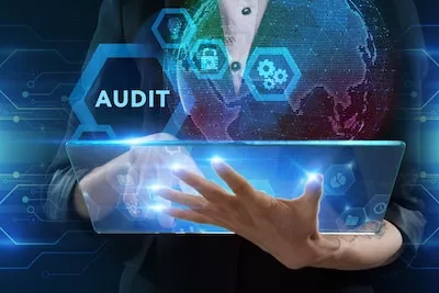 Audit by a Data Protection Authority