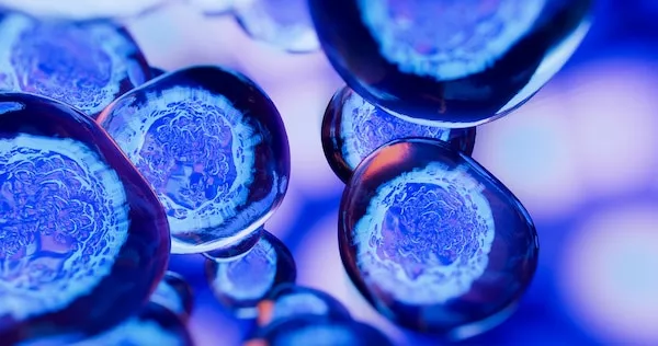 Are GDPR and further scientific research compatible?